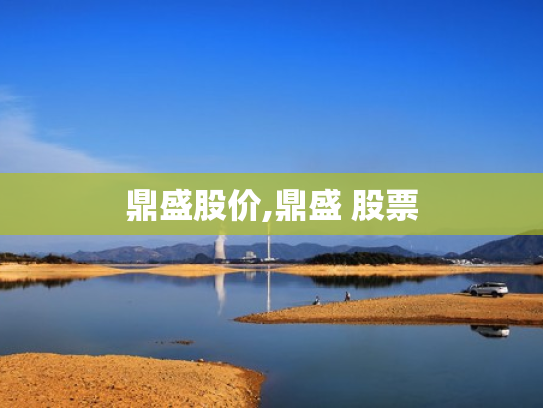 鼎盛股价,鼎盛 股票