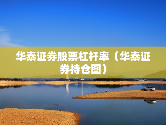 华泰证券股票杠杆率（华泰证券持仓图）