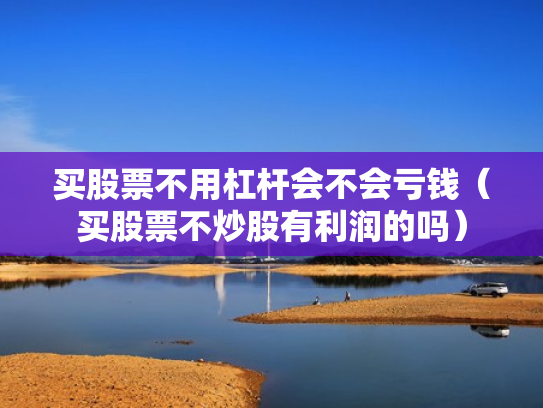 买股票不用杠杆会不会亏钱（买股票不炒股有利润的吗）