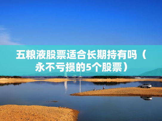 五粮液股票适合长期持有吗（永不亏损的5个股票）