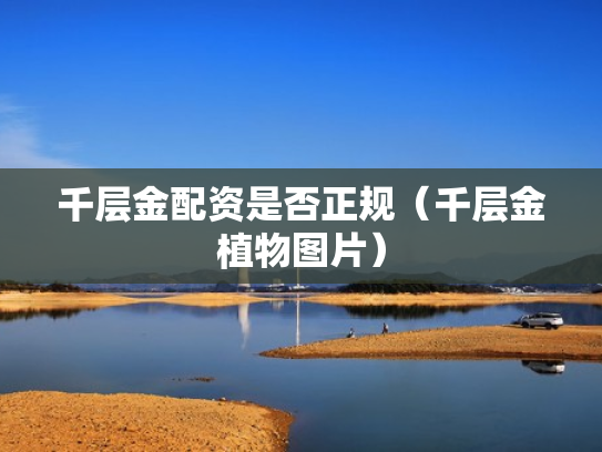 千层金配资是否正规（千层金植物图片）