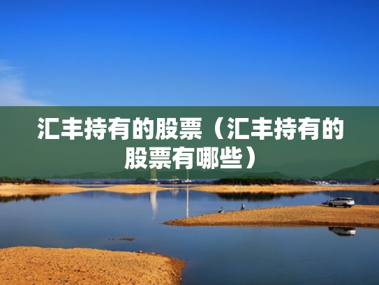 汇丰持有的股票（汇丰持有的股票有哪些）