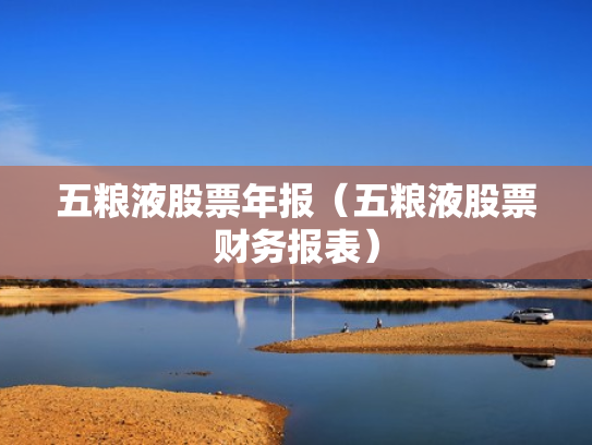 五粮液股票年报（五粮液股票财务报表）