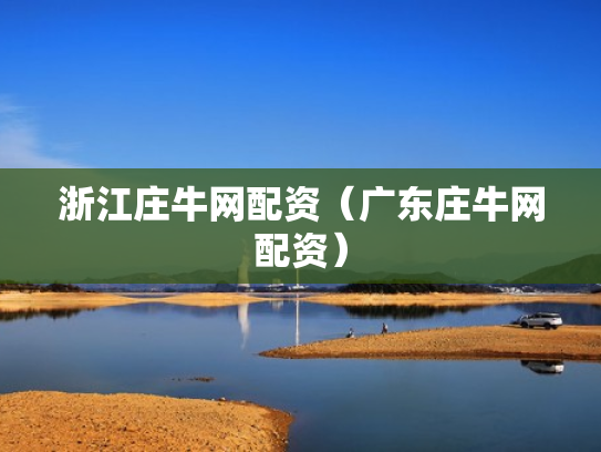 浙江庄牛网配资（广东庄牛网配资）