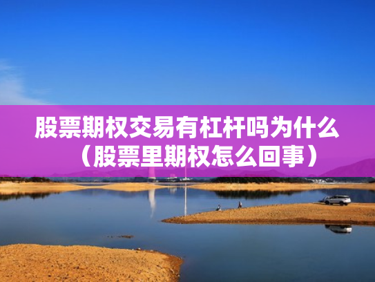 股票期权交易有杠杆吗为什么（股票里期权怎么回事）