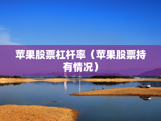 苹果股票杠杆率（苹果股票持有情况）