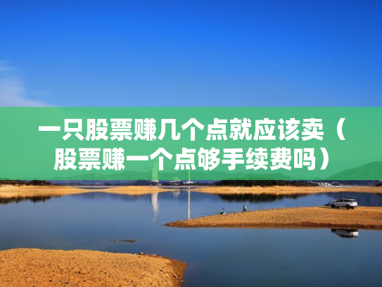 一只股票赚几个点就应该卖（股票赚一个点够手续费吗）