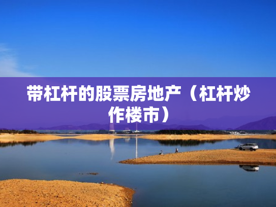 带杠杆的股票房地产（杠杆炒作楼市）