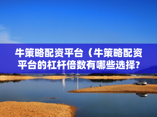 牛策略配资平台（牛策略配资平台的杠杆倍数有哪些选择?）