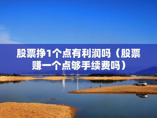 股票挣1个点有利润吗（股票赚一个点够手续费吗）