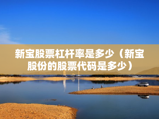 新宝股票杠杆率是多少（新宝股份的股票代码是多少）