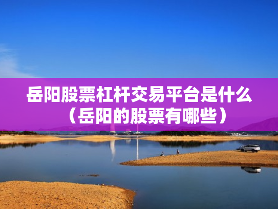 岳阳股票杠杆交易平台是什么（岳阳的股票有哪些）