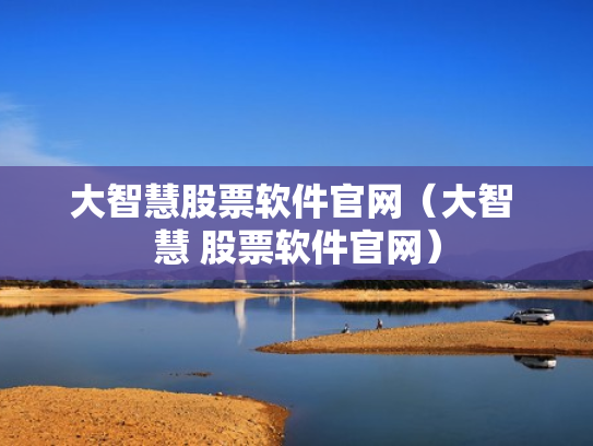 大智慧股票软件官网（大智 慧 股票软件官网）