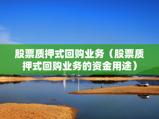 股票质押式回购业务（股票质押式回购业务的资金用途）