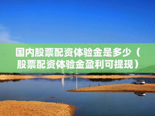 国内股票配资体验金是多少（股票配资体验金盈利可提现）