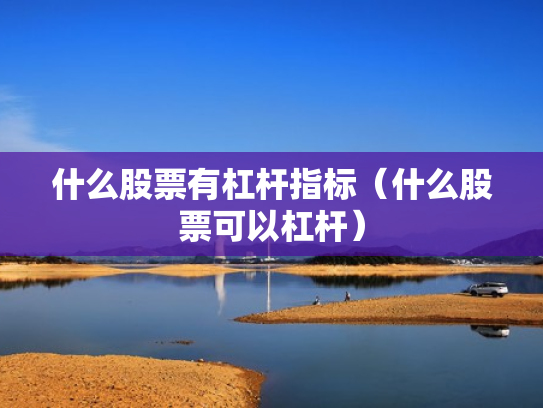 什么股票有杠杆指标（什么股票可以杠杆）