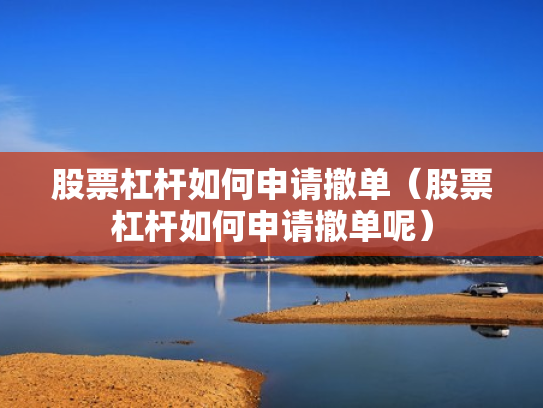 股票杠杆如何申请撤单（股票杠杆如何申请撤单呢）
